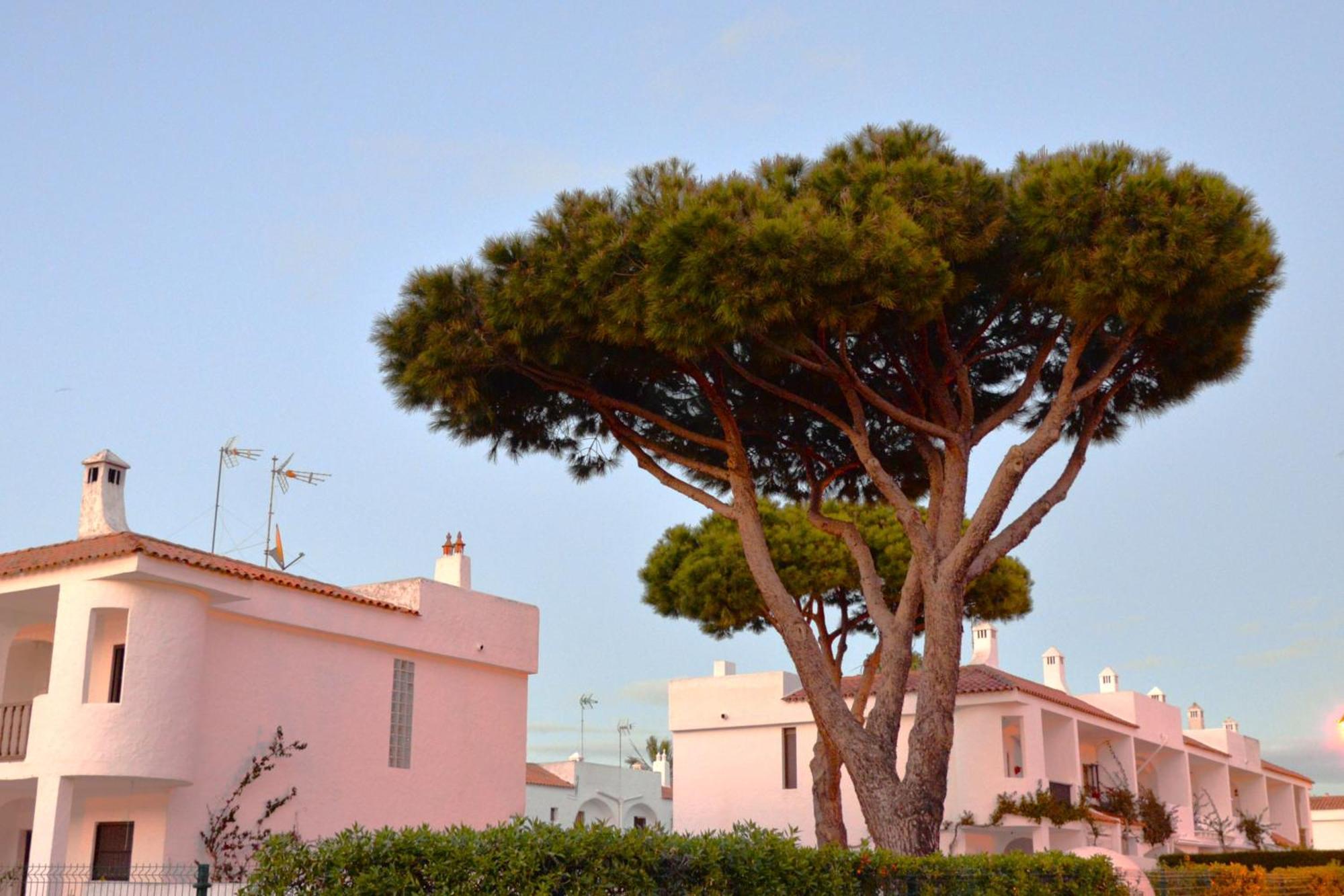 Casa Lea Villa Islantilla Dış mekan fotoğraf