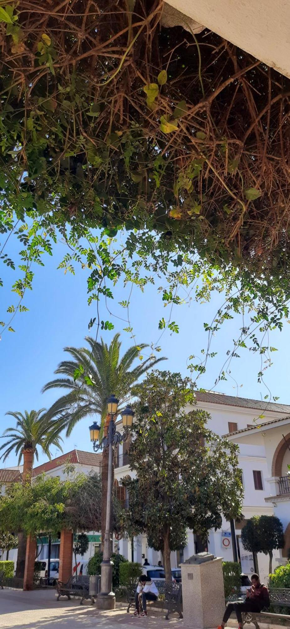 Casa Lea Villa Islantilla Dış mekan fotoğraf
