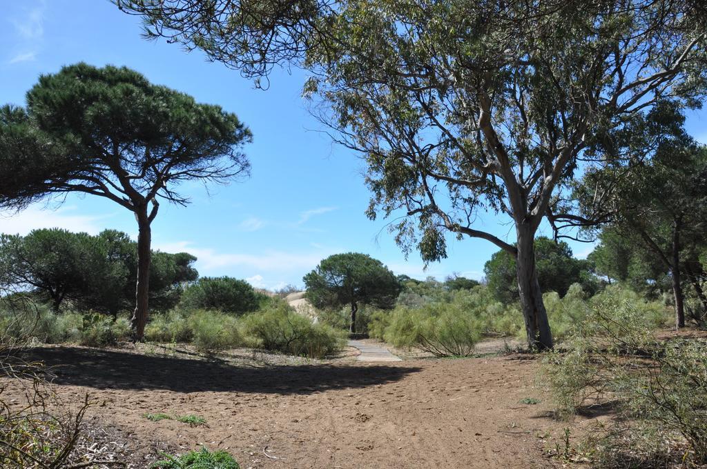 Casa Lea Villa Islantilla Oda fotoğraf